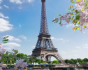 ⌈胜日寻芳，浪漫春日⌋ 赏巴黎春天的最佳打卡地，踏上开往春天的列车~