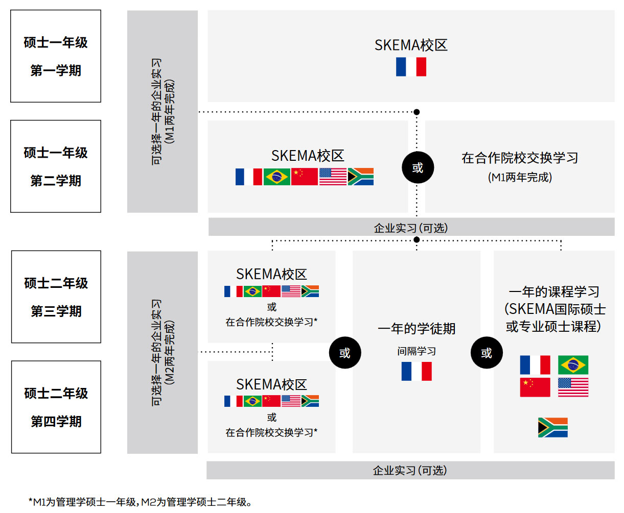 SKEMA管理学硕士项目架构