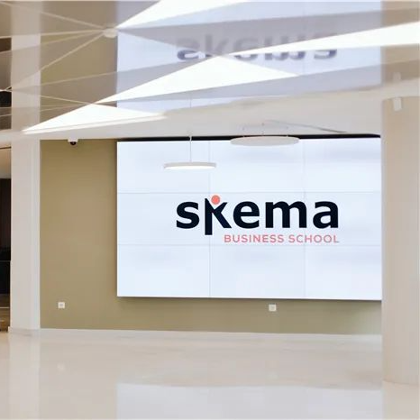 重磅发布 | SIGEM榜单SKEMA距离前5一步之遥,请允许我们小小骄傲一下! 重磅发布 | SIGEM榜单SKEMA距离前5一步之遥,请允许我们小小骄傲一下!